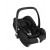 Essential Black)