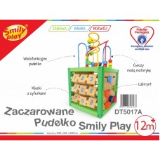 Игрушка Smily Play Деревянный куб 5 в 1, DT5017A